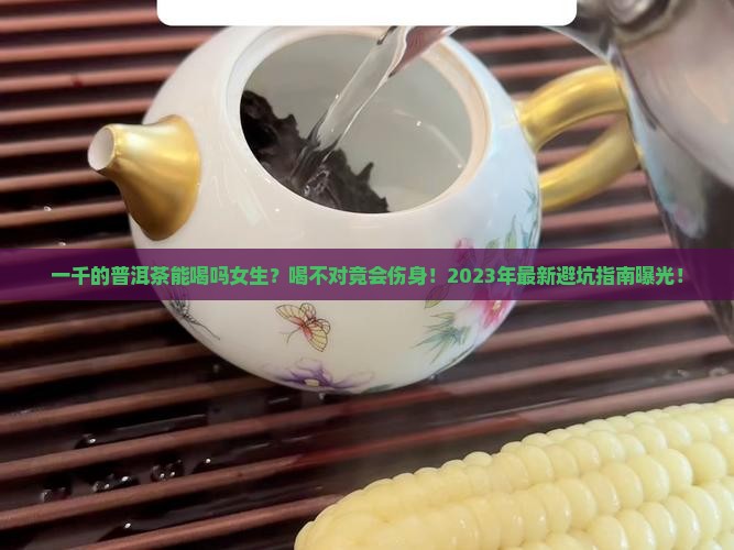 一千的普洱茶能喝吗女生
