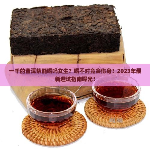 一千的普洱茶能喝吗女生