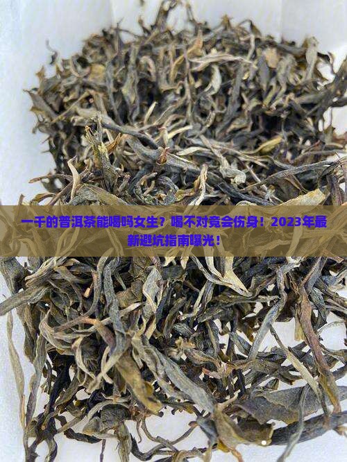 一千的普洱茶能喝吗女生
