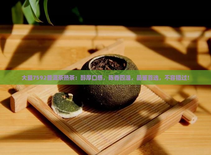 大益7592普洱茶熟茶