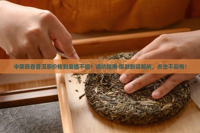 中茶陈香普洱茶价格