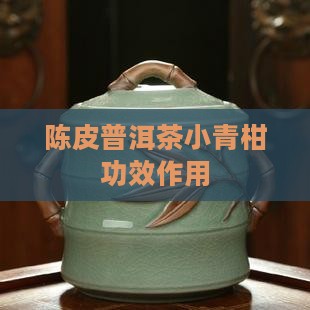 陈皮普洱茶小青柑功效作用 陈皮普洱茶小青柑功效作用