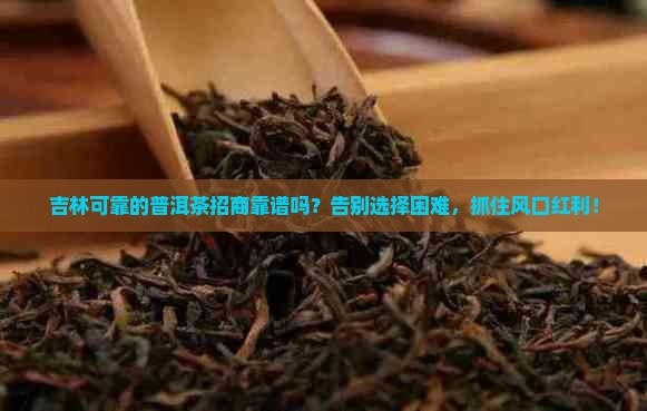 吉林可靠的普洱茶招商