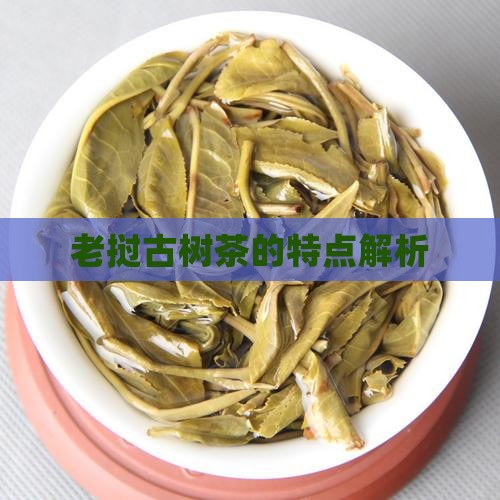 老挝古树茶的特点