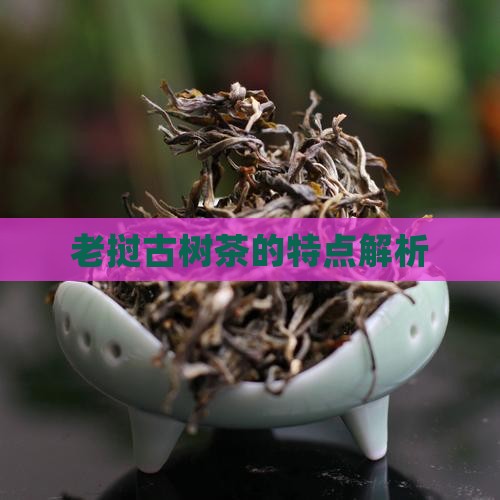 老挝古树茶的特点