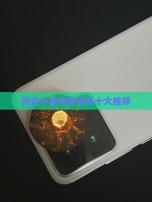 新会小青柑十大品牌普洱茶