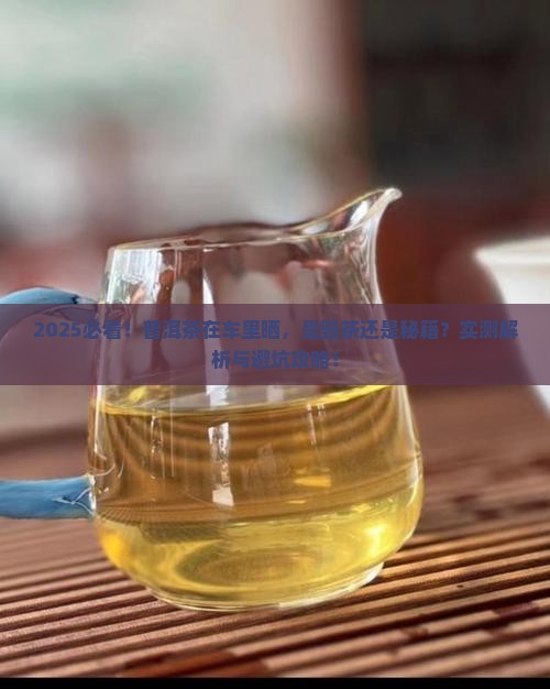 普洱茶在车里晒好吗