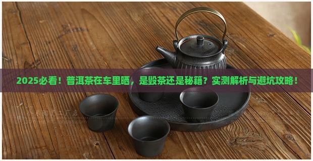 普洱茶在车里晒好吗