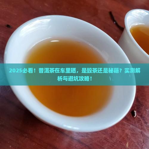 普洱茶在车里晒好吗
