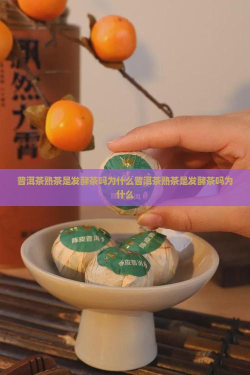 普洱茶熟茶是发酵茶吗为什么