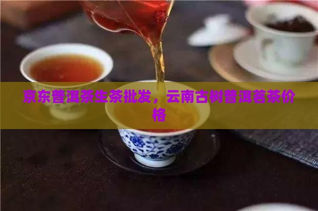 古树云南普洱茶生茶