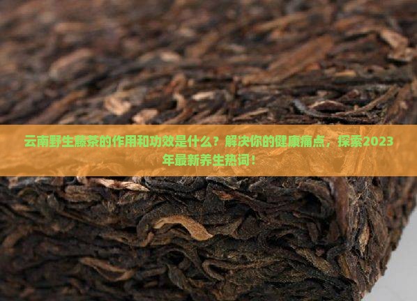云南野生藤茶的作用藤茶的功效