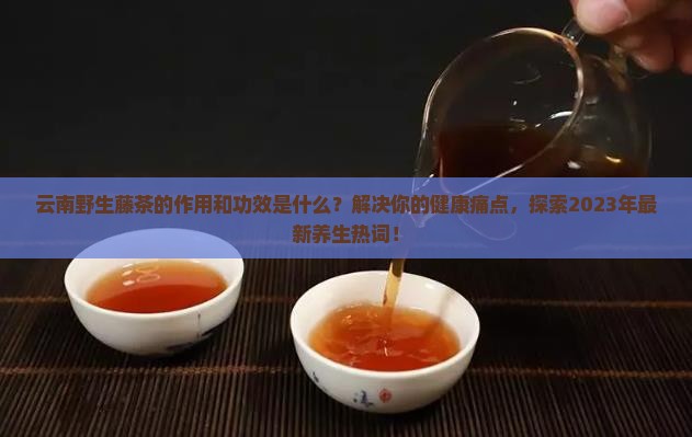云南野生藤茶的作用藤茶的功效