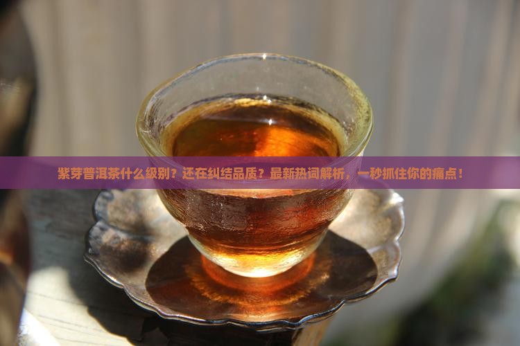 紫芽普洱茶什么级别