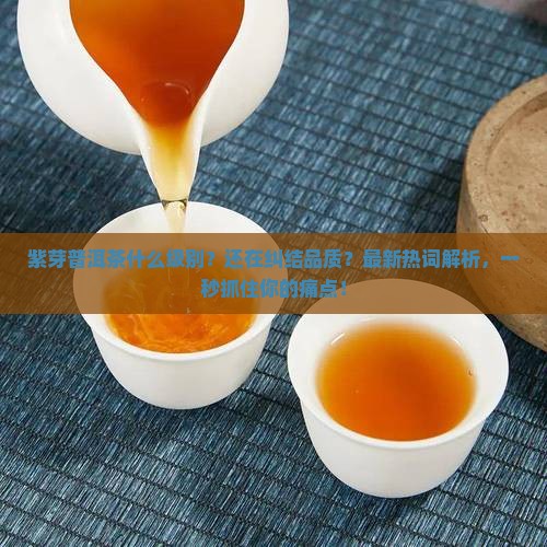 紫芽普洱茶什么级别