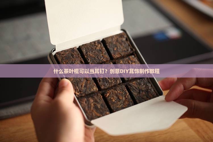 什么茶叶棍可以当耳钉