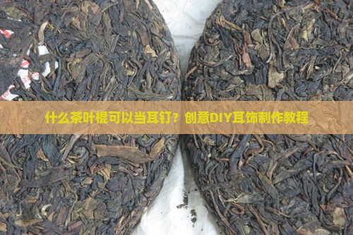 什么茶叶棍可以当耳钉