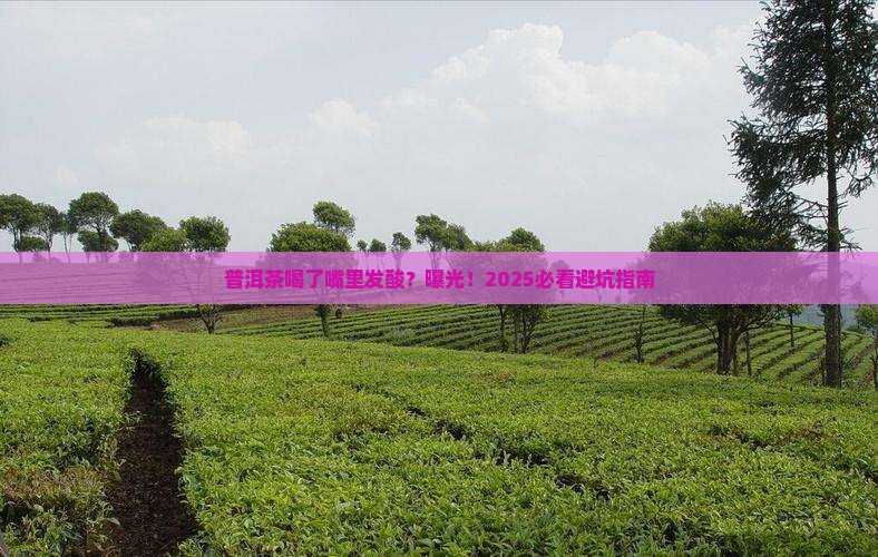 普洱茶喝了嘴里发酸