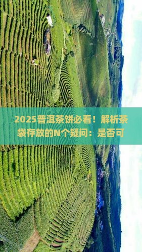 普洱茶饼可不可以发在茶袋