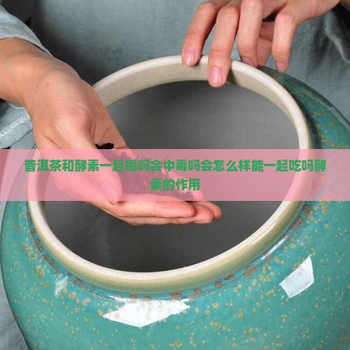 普洱茶和酵素一起喝吗