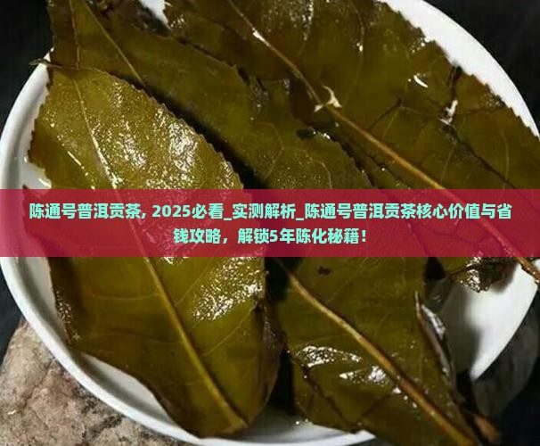 陈通号普洱贡茶
