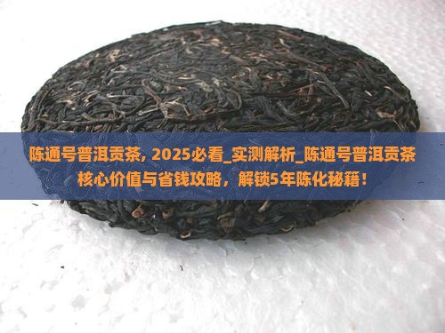 陈通号普洱贡茶