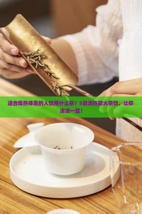 适合燥热体质的人饮用什么茶