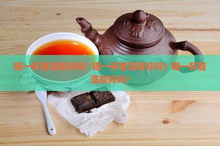 喝一杯普洱茶好吗