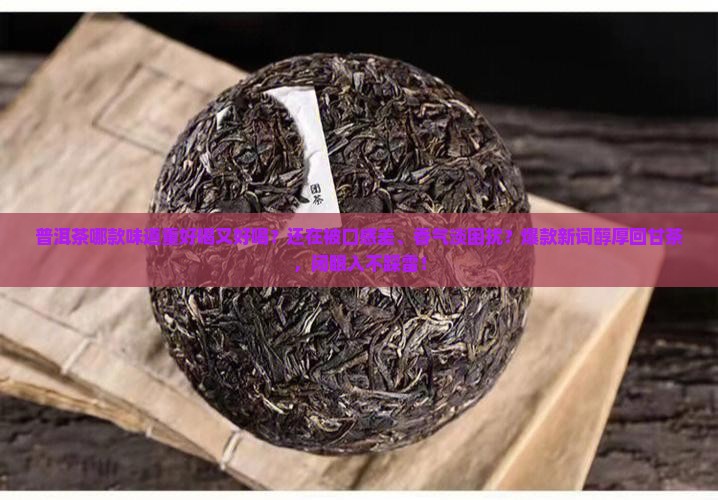 普洱茶哪款味道重好喝又好喝