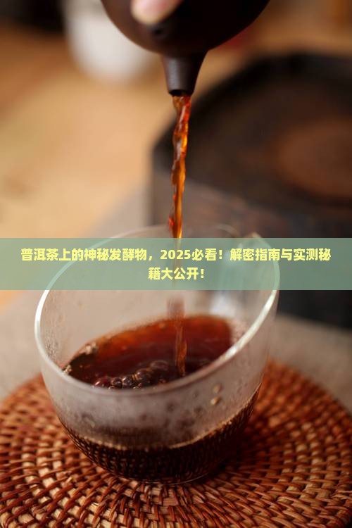 普洱茶上的发酵物是什么