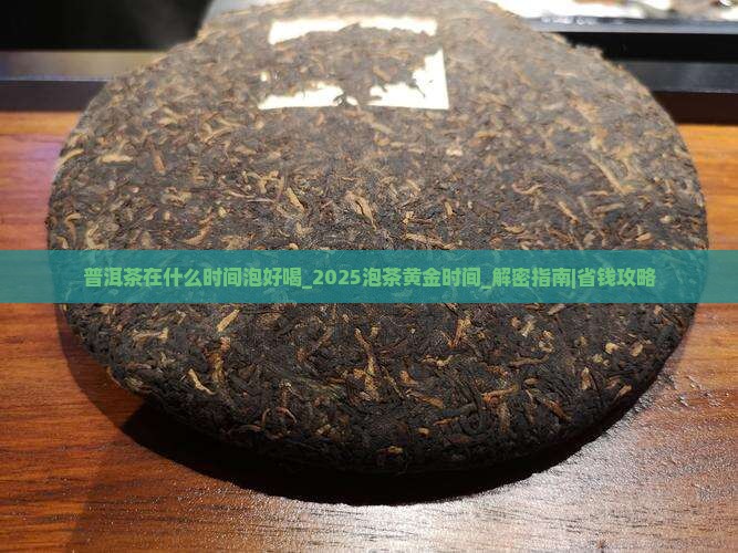 普洱茶在什么时间泡好喝