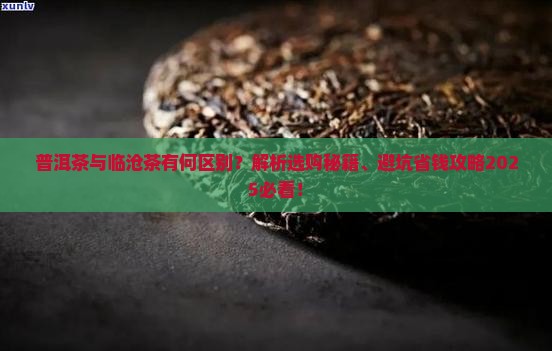 普洱茶跟临沧茶的区别是什么
