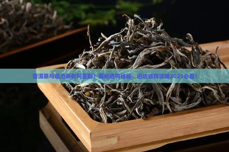 普洱茶跟临沧茶的区别是什么
