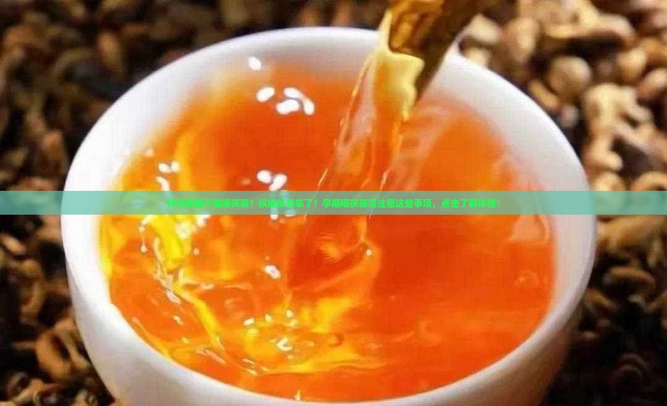 怀孕期能不能喝茯茶