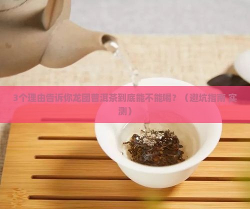 龙团普洱茶能喝吗