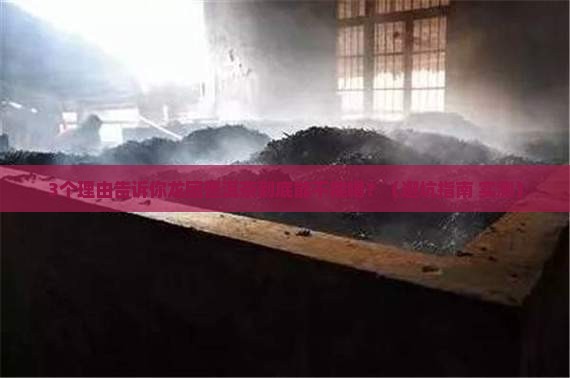 龙团普洱茶能喝吗