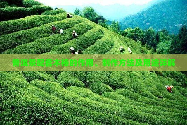 普洱茶配套木棒