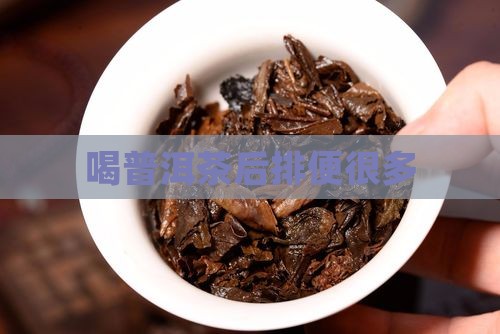 喝普洱茶后排便很多