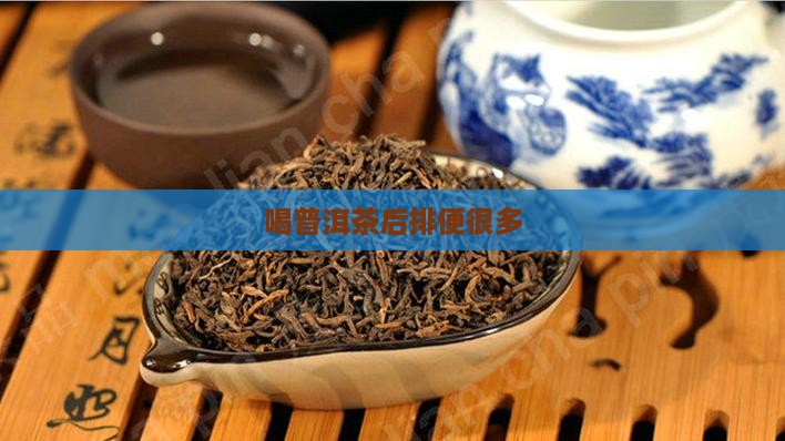 喝普洱茶后排便很多
