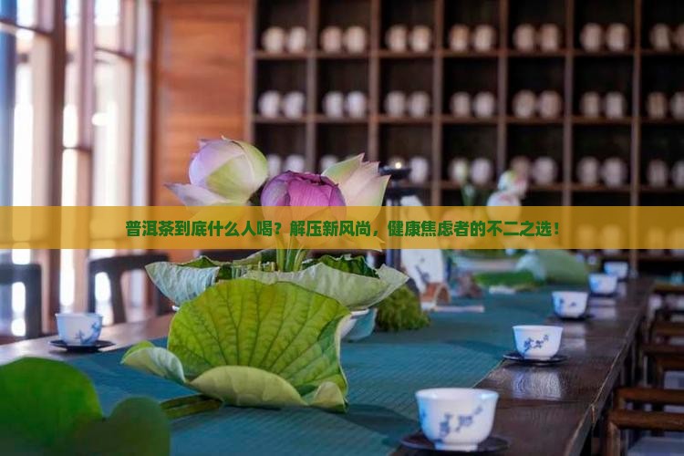 普洱茶什么人喝