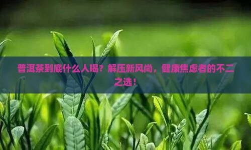 普洱茶什么人喝