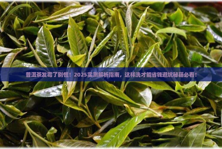 普洱茶发霉可以用水洗吗