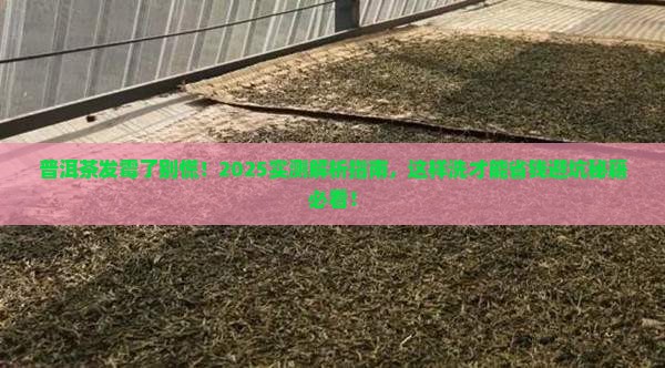普洱茶发霉可以用水洗吗