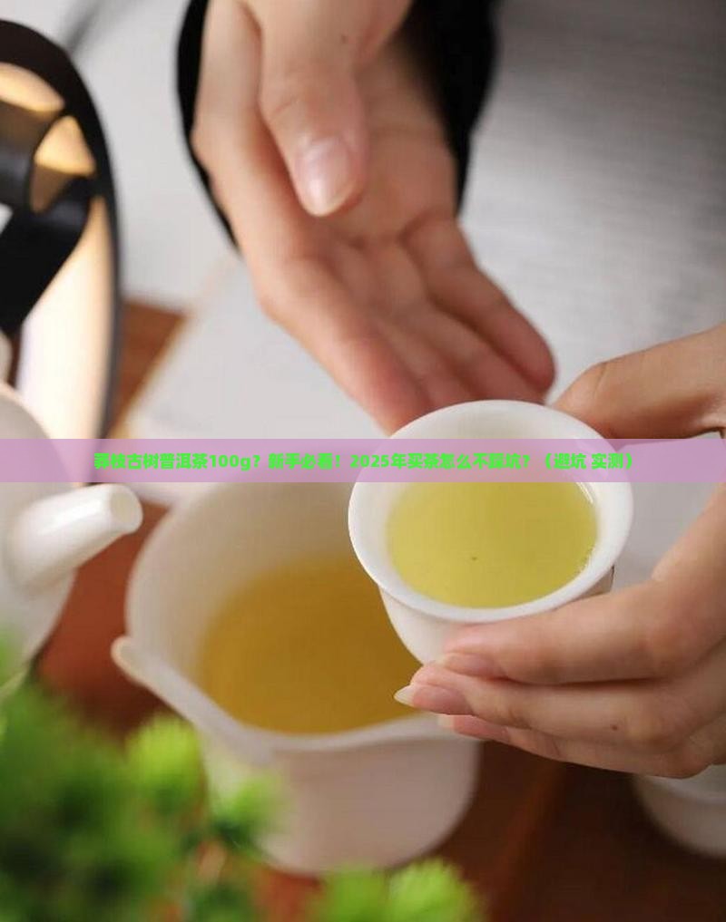 莽枝古树普洱茶100g