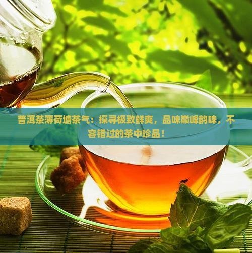 普洱茶薄荷塘茶气