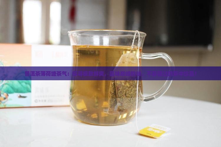 普洱茶薄荷塘茶气
