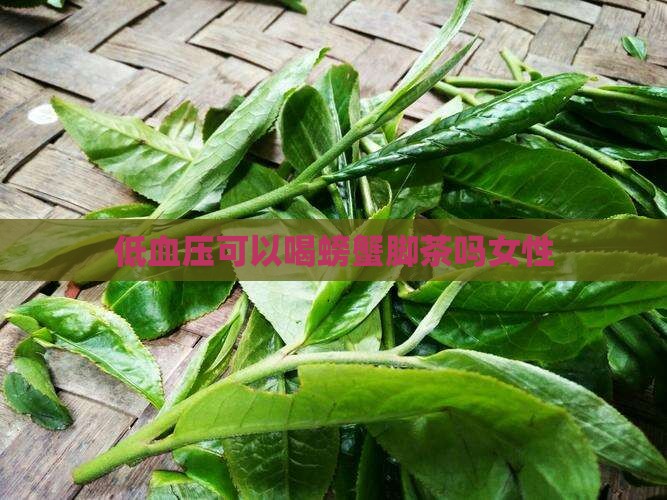 低血压可以喝螃蟹脚茶吗