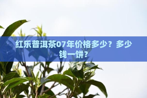 红乐07年普洱茶价格