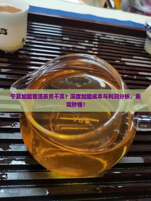 宁夏加盟普洱茶贵不贵