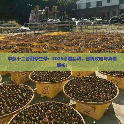 中茶十二生肖普洱茶生茶